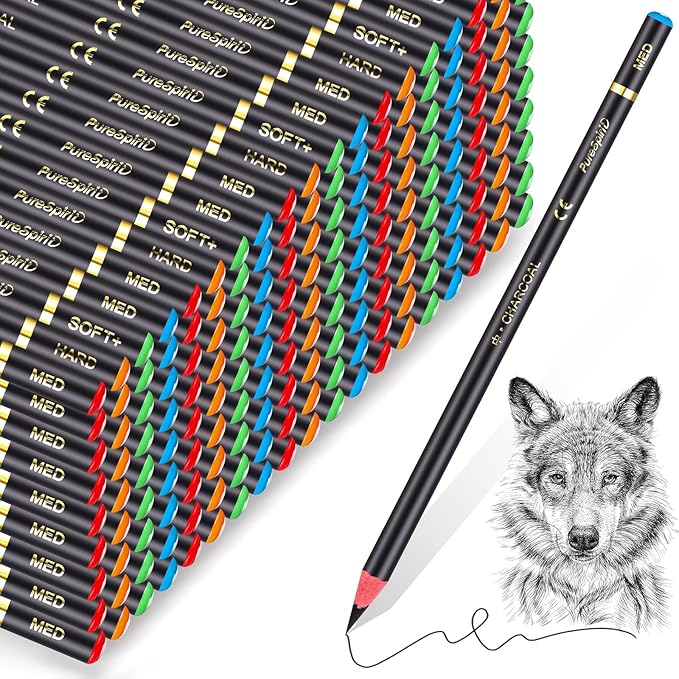 100 Pcs Charcoal Pencils Drawing Set, Charcoal Pencils bulk for Drawing Sketching Shading Blending Portrait Beginners and Artists(Black,Super Soft, Soft, Medium and Hard)