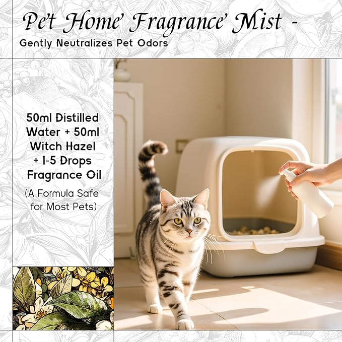 HIQILI Osmanthus Fragrance Oil, for Body Spray, Diffuser Use, Candle, Soap, and Women Perfume Making, Scented Essential Oil - 1 Fl Oz