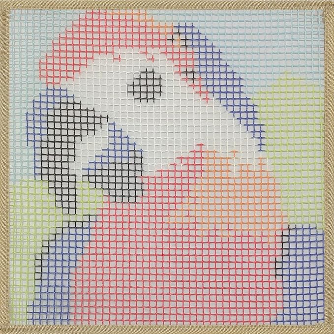 Latch Hook Kits Rug Parrot Crochet Yarn Cushion Colour Pre-Printed Canvas Cover Rug Needlework DIY Hook and Latch Kit Christmas Home Decoration 30x30cm/12 X12inch
