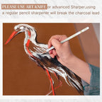 100 Pcs Charcoal Pencils Drawing Set, Charcoal Pencils bulk for Drawing Sketching Shading Blending Portrait Beginners and Artists(White,White Style)