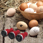 Egg Stamps for Fresh Eggs, Custom Stmap, Personalize Your Eggs with Wood Stamp, Stamper, Fun & Unique Designs Personalized, Two Handle Options (MTJDYZ20235115)