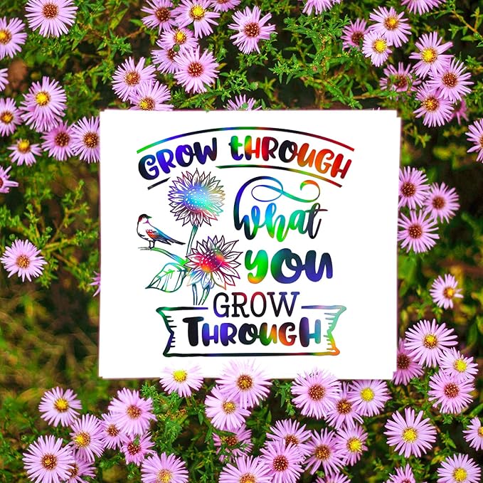 GIRAFVINYL Black Holographic Vinyl, 12" X 6ft Glossy Rainbow Black Permanent Vinyl for Crafts, Expressions, Decal, Signs, Stickers