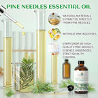 EVOKE OCCU Pine Essential Oil for Diffuser, Fresh Pine Scent for Aromatherapy, Skin, Hair Care, Soap & Candle Making - 4 Fl Oz