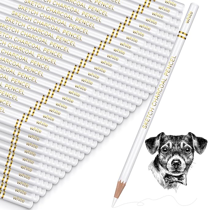 100 Pcs Charcoal Pencils Drawing Set, Charcoal Pencils bulk for Drawing Sketching Shading Blending Portrait Beginners and Artists(White,White Style)