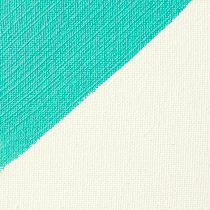 Liquitex Professional Gesso Surface Prep Medium, 1.89L (Half Gallon) Bucket, Clear Gesso