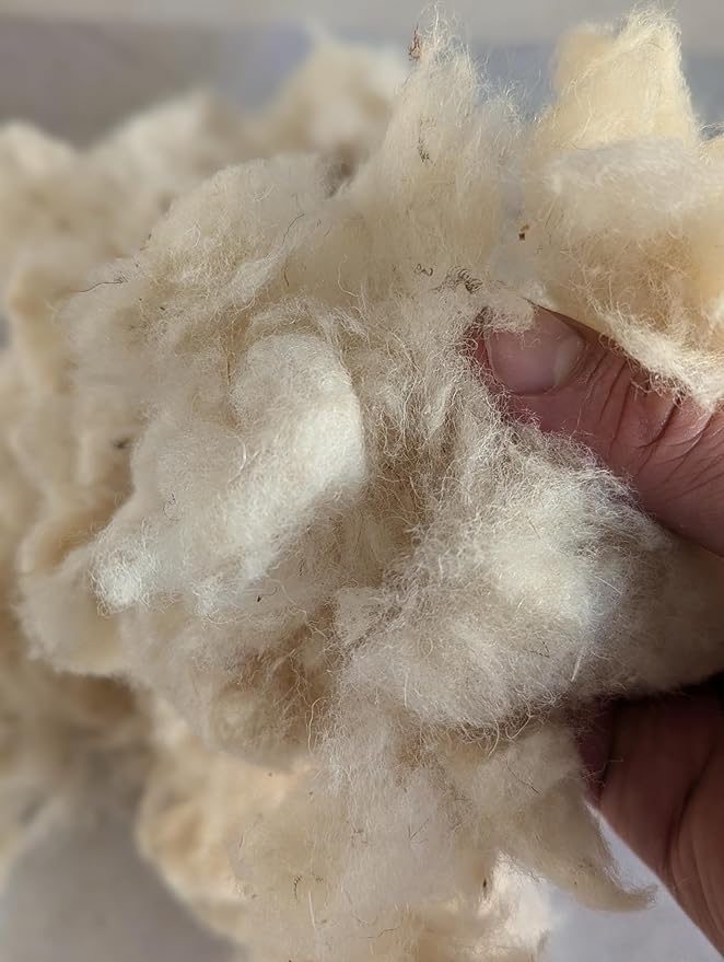 1 lb Wool Stuffing raw Washed Sheep Short Natural Fiber noil w/Debris for Filling Pillow Cushion Toys Dryer Balls Dolls Felting Batting Blending Needle Crafts core Wool Insulation.