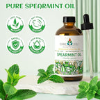 EVOKE OCCU Spearmint Oil for Inhibit Facial Hair Growth, Air Freshening, Added to Creams & Lotions - 4 Fl Oz