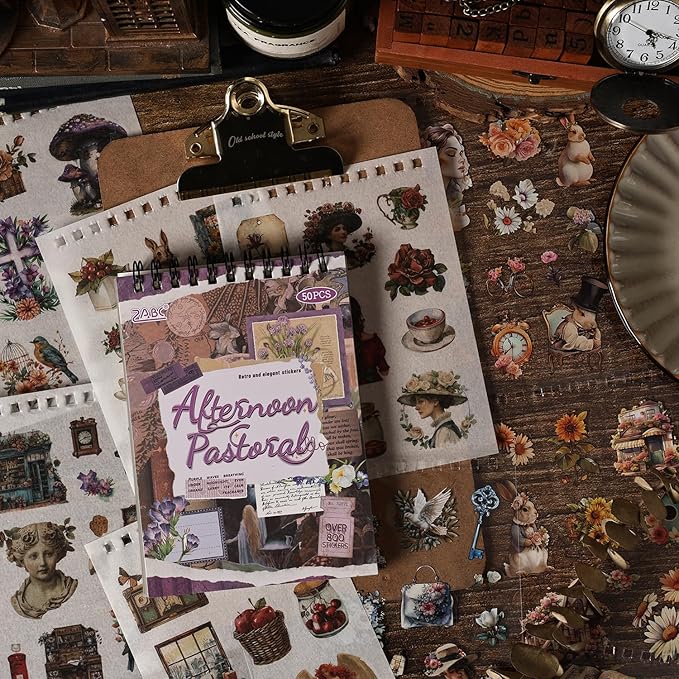 Vintage Scrapbook Sticker Supplies, 25 Sheets PET and 25 Sheets Washi Stickers, Over 800 Self-Adhesive Pre-Cut Stickers for Junk Journal, Bujo, Collage, Adult Crafts Arts, Letters DIY