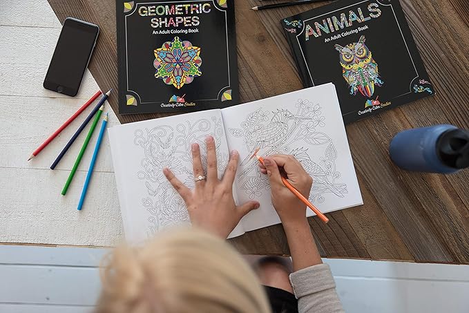 Set of 3 Adult Coloring Books, Animals, Scenery & Mandalas Designs - 120 Unique Images! 8.5 in. x 8.5 in. Pages