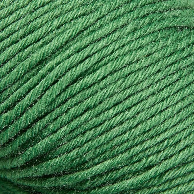 Merino Wool Yarn, 12-Ply Luxurious and Soft Yarn for Hand Knitting & Crocheting, 1.76 OZ/50g, 120 yds/110 Meters(Grass Green,2Balls)