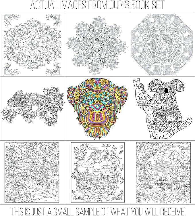 Set of 3 Adult Coloring Books, Animals, Scenery & Mandalas Designs - 120 Unique Images! 8.5 in. x 8.5 in. Pages