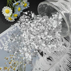 10 Grams 5mm/0.2" Silver Tiny Star Sew on Sequins Mini Embroidery Sequins with Holes for DIY Jewelry Making Crafts